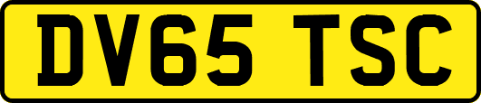 DV65TSC