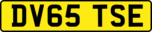 DV65TSE