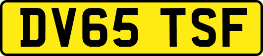 DV65TSF