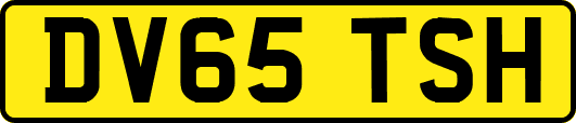 DV65TSH