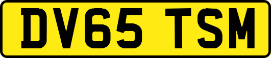 DV65TSM