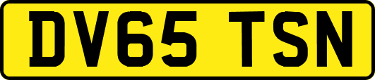 DV65TSN