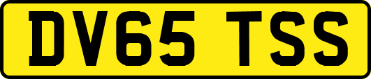 DV65TSS