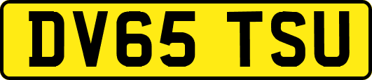 DV65TSU