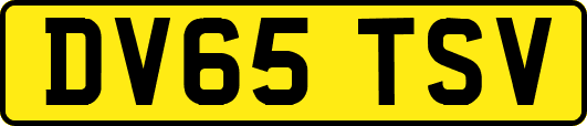 DV65TSV