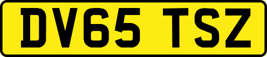 DV65TSZ