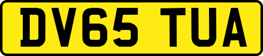 DV65TUA