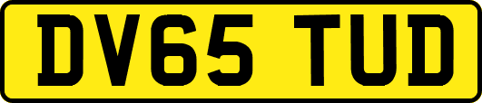 DV65TUD