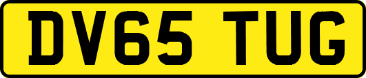 DV65TUG