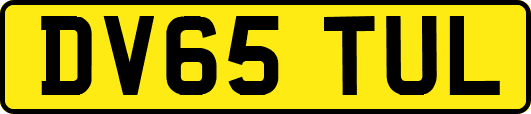 DV65TUL