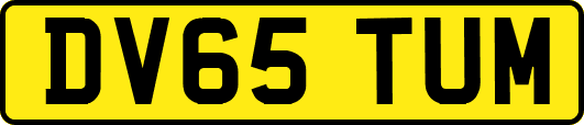 DV65TUM