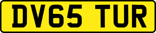 DV65TUR