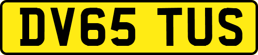 DV65TUS