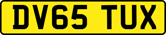 DV65TUX