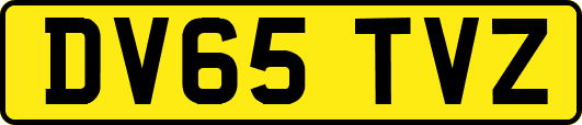 DV65TVZ