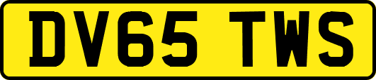 DV65TWS