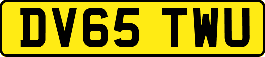 DV65TWU