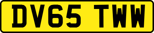 DV65TWW