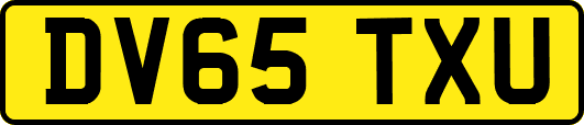 DV65TXU