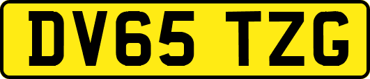 DV65TZG