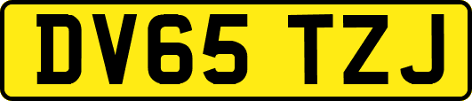 DV65TZJ