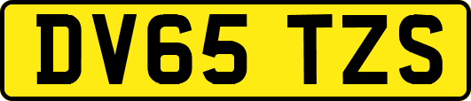 DV65TZS