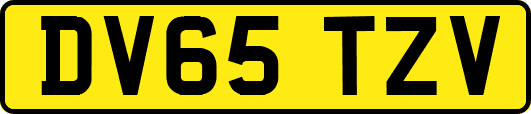 DV65TZV