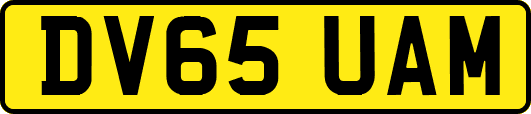 DV65UAM