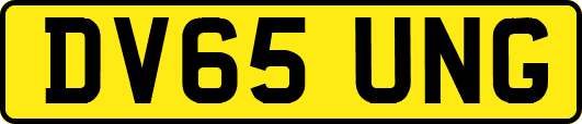 DV65UNG