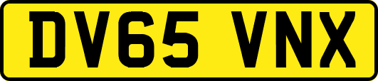 DV65VNX