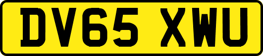 DV65XWU