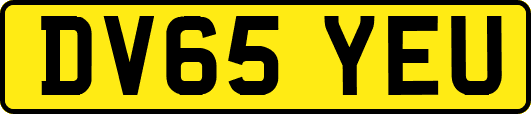 DV65YEU