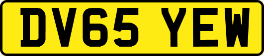 DV65YEW