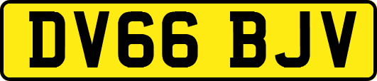 DV66BJV