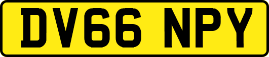 DV66NPY