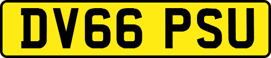 DV66PSU