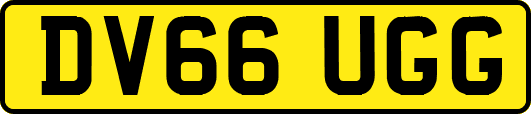 DV66UGG