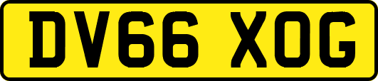 DV66XOG