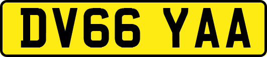 DV66YAA