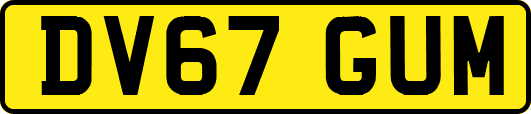 DV67GUM