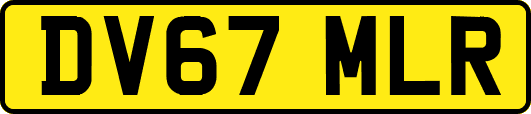 DV67MLR