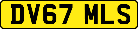 DV67MLS