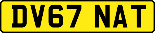 DV67NAT