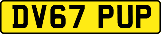 DV67PUP