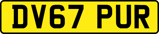 DV67PUR