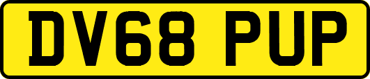 DV68PUP