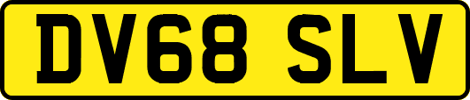 DV68SLV