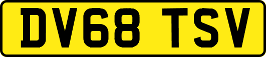 DV68TSV