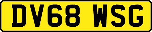 DV68WSG