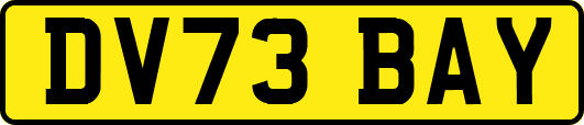 DV73BAY